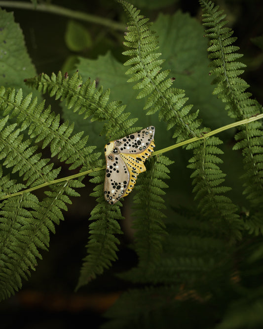 Yellow Moth Brooch