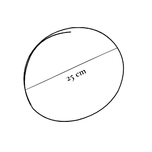 Priemer taniera je 25 cm